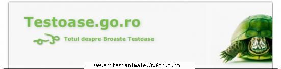 broaste testoase broastelor testoase pentru broastele testoase, pentru alte reprezinta necesitate
